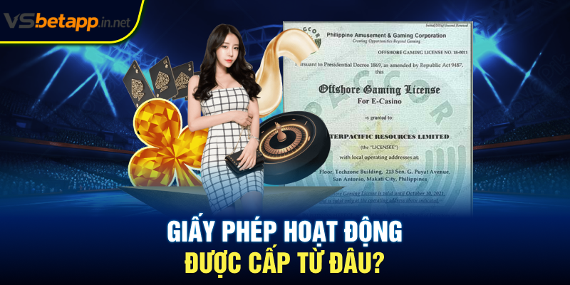 Giấy phép hoạt động được cấp từ đâu?