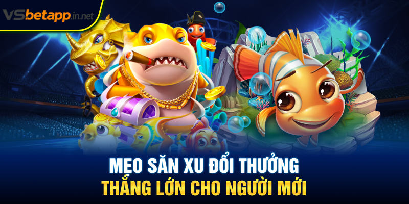 Mẹo săn xu đổi thưởng thắng lớn cho người mới